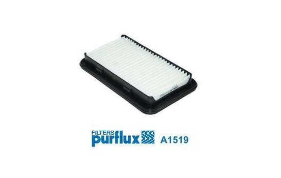 Air Filter A1519 Purflux