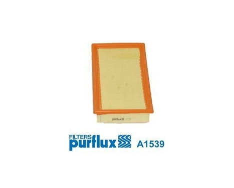 Air Filter A1539 Purflux