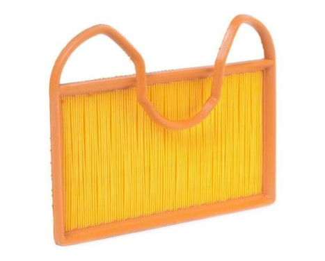 Air Filter A1555 Purflux