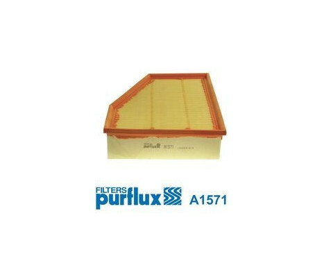 Air Filter A1571 Purflux