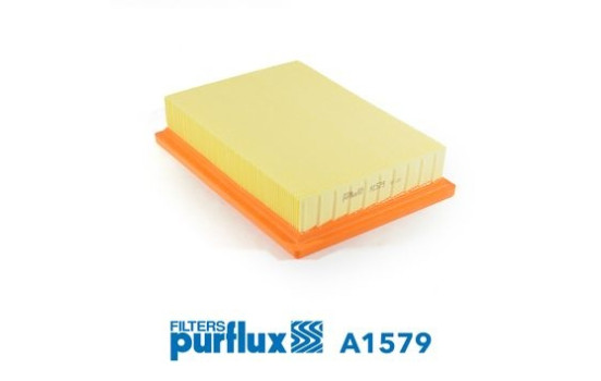 Air Filter A1579 Purflux