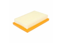 Air Filter A1613 Purflux