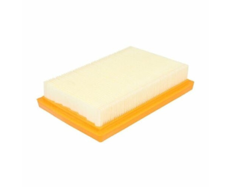 Air Filter A1613 Purflux