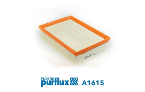 Air Filter A1615 Purflux