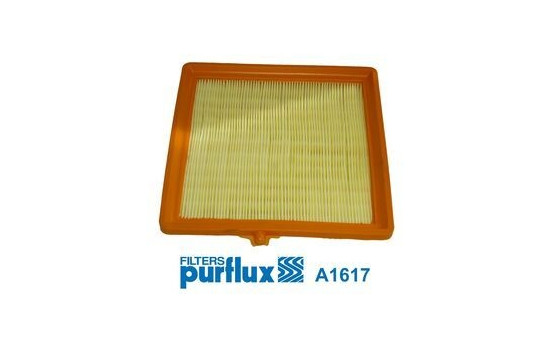 Air Filter A1617 Purflux