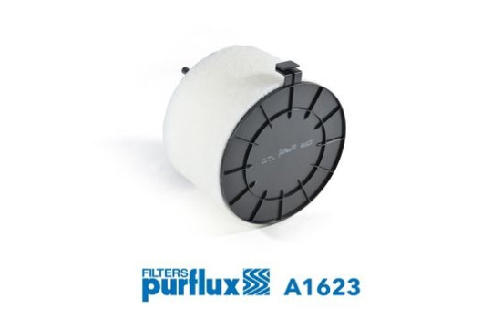 Air filter A1623 Purflux