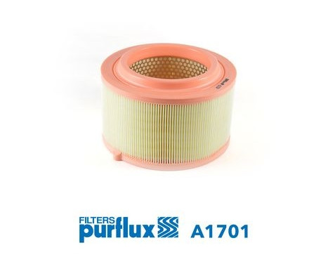 Air Filter A1701 Purflux