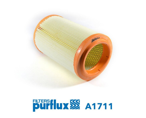 Air Filter A1711 Purflux