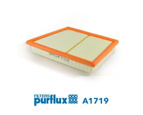 Air Filter A1719 Purflux