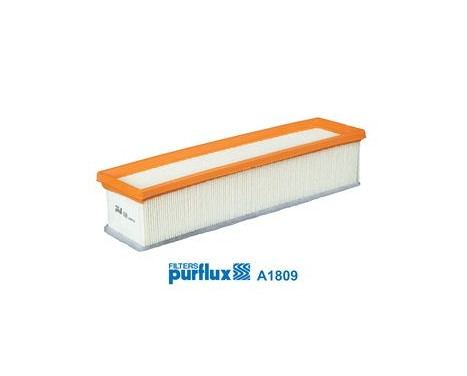 Air Filter A1809 Purflux