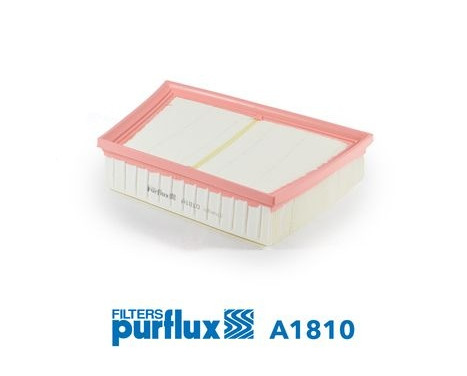 Air Filter A1810 Purflux