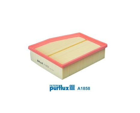 Air Filter A1858 Purflux