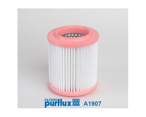 Air Filter A1907 Purflux