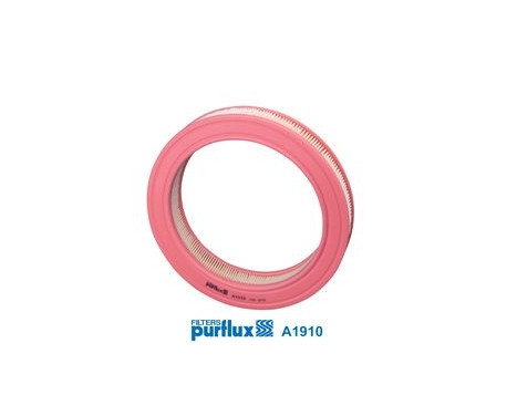 Air Filter A1910 Purflux
