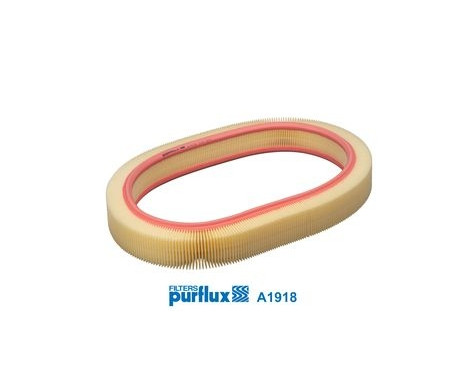 Air Filter A1918 Purflux