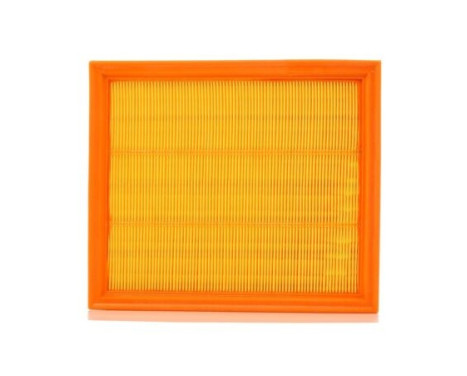 Air Filter A211 Purflux