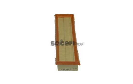 Air Filter A219 Purflux