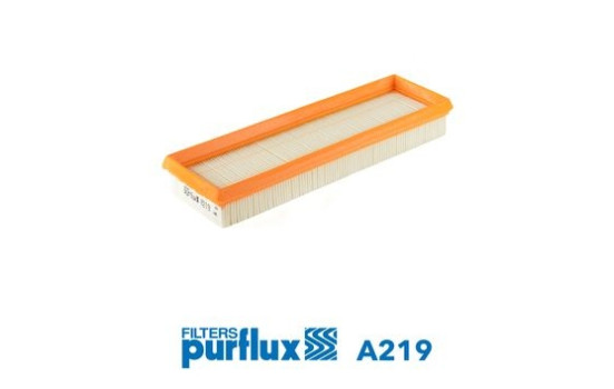 Air Filter A219 Purflux