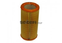 Air Filter A224 Purflux