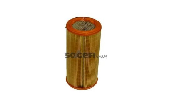 Air Filter A224 Purflux