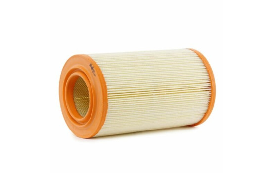 Air Filter A251 Purflux