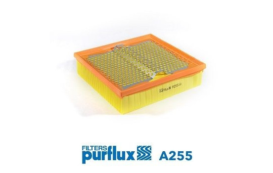 Air Filter A255 Purflux