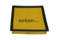 Air Filter A264 Purflux