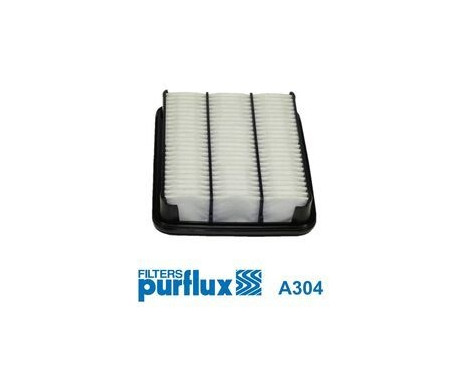 Air Filter A304 Purflux