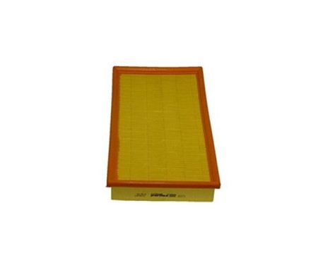 Air Filter A373 Purflux