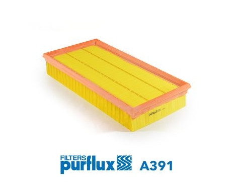 Air Filter A391 Purflux