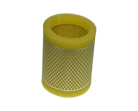 Air Filter A436 Purflux
