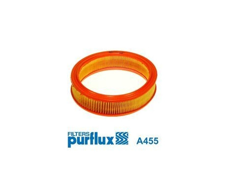 Air Filter A455 Purflux
