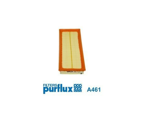 Air Filter A461 Purflux