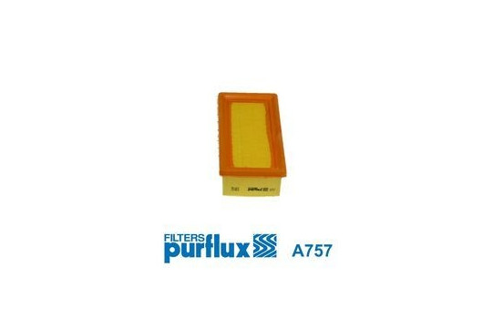 Air Filter A757 Purflux