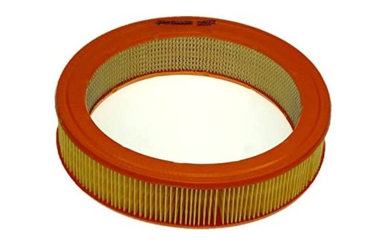 Air Filter A822 Purflux
