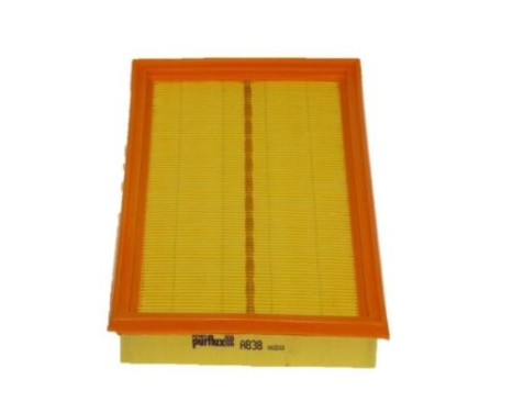 Air Filter A838 Purflux
