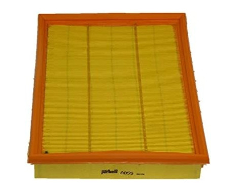 Air Filter A855 Purflux