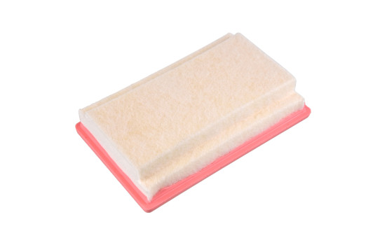 Air Filter ADBP220016 Blue Print, Image 2