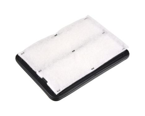 Air Filter ADBP220020 Blue Print, Image 2
