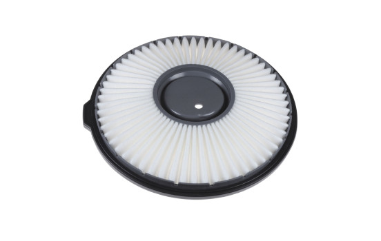 Air Filter ADD62212 Blue Print