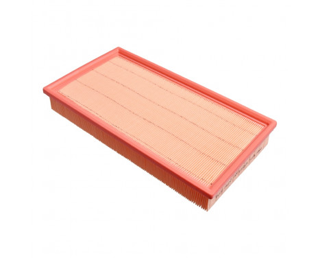 Air Filter ADF122224 Blue Print