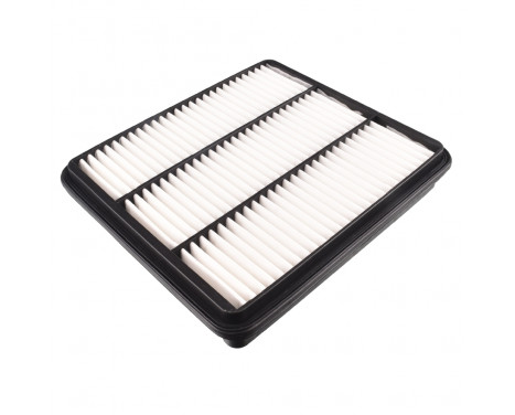 Air Filter ADG02256 Blue Print