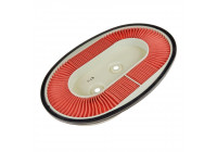 Air Filter ADN12220 Blue Print