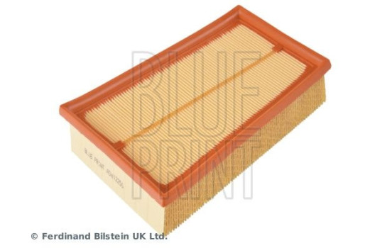 Air Filter ADN12256 Blue Print, Image 3