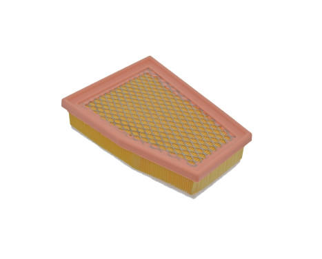 Air Filter ADV182225 Blue Print