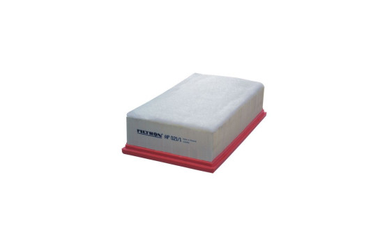 Air filter AP 021/1 Filtron