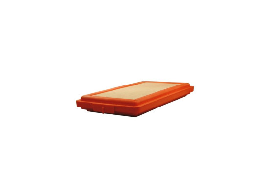 Air filter AP 025 Filtron