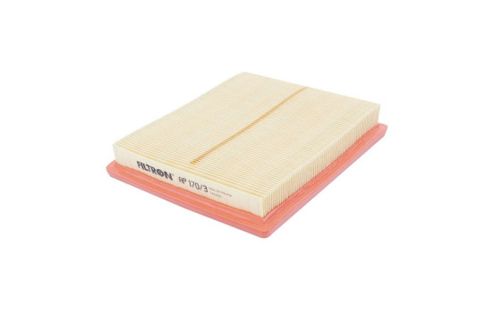 Air filter AP 170/3 Filtron, Image 3