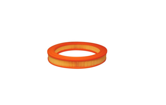 Air filter AR 210 Filtron