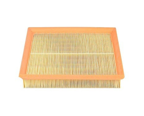 Air filter BSG 15-135-004, Image 2